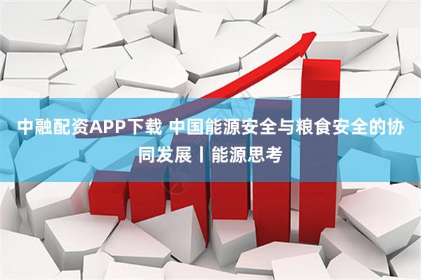 中融配资APP下载 中国能源安全与粮食安全的协同发展丨能源思考
