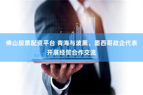 佛山股票配资平台 青海与波黑、墨西哥政企代表开展经贸合作交流