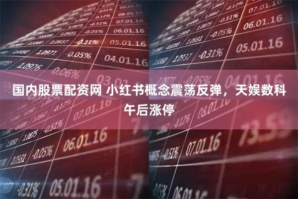 国内股票配资网 小红书概念震荡反弹，天娱数科午后涨停