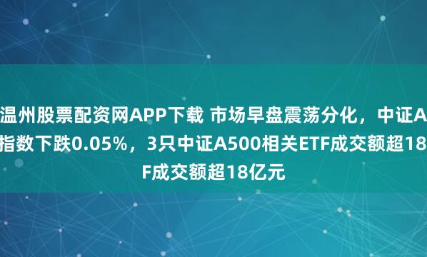 温州股票配资网APP下载 市场早盘震荡分化，中证A500指数下跌0.05%，3只中证A500相关ETF成交额超18亿元