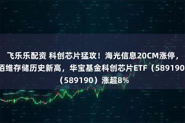 飞乐乐配资 科创芯片猛攻！海光信息20CM涨停，寒武纪、佰维存储历史新高，华宝基金科创芯片ETF（589190）涨超8%